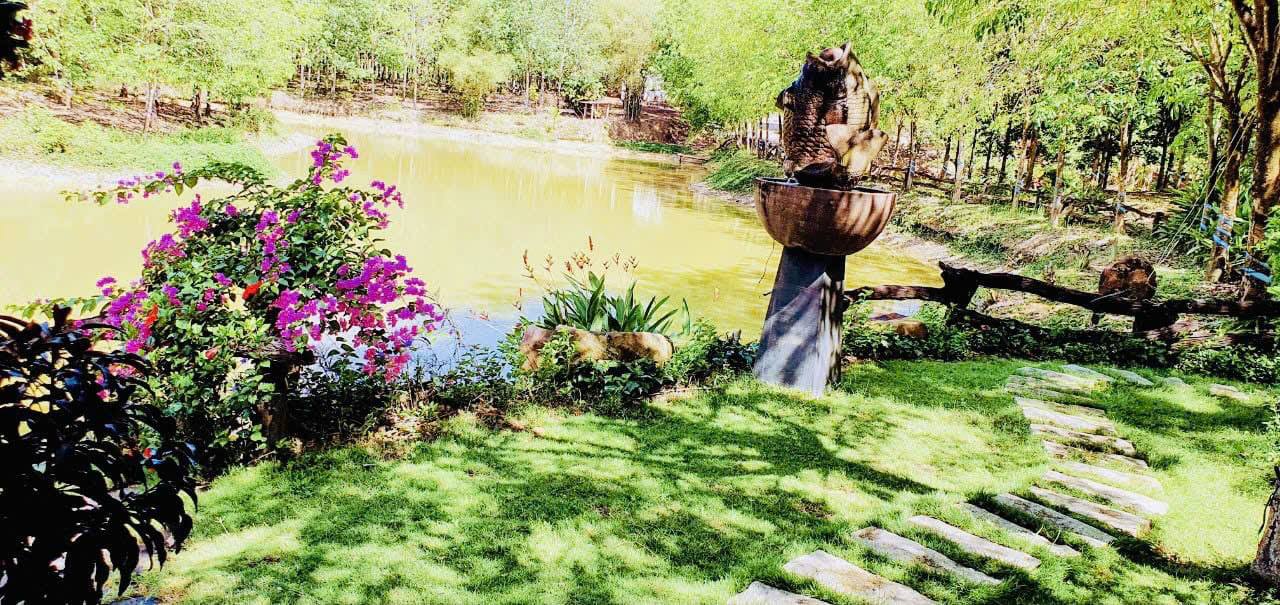 Trang trại 52ha Phú An, Tân Phú, Đồng Nai - Kinh doanh sinh lời ngay!