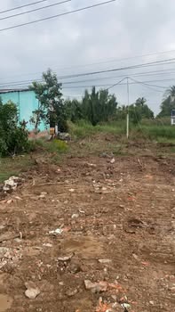 Đất mặt tiền nhựa HL 85C, xã Tân Thạnh, 450m² giá 399 triệu - Cơ hội đầu tư hấp dẫn!