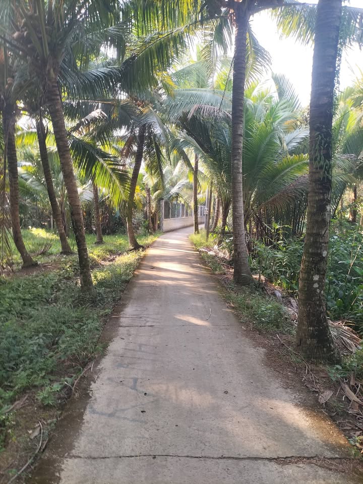 Đất Vĩnh Kim 2000m² giá 1.2 tỷ - Mặt tiền sông đẹp, thương lượng tốt!