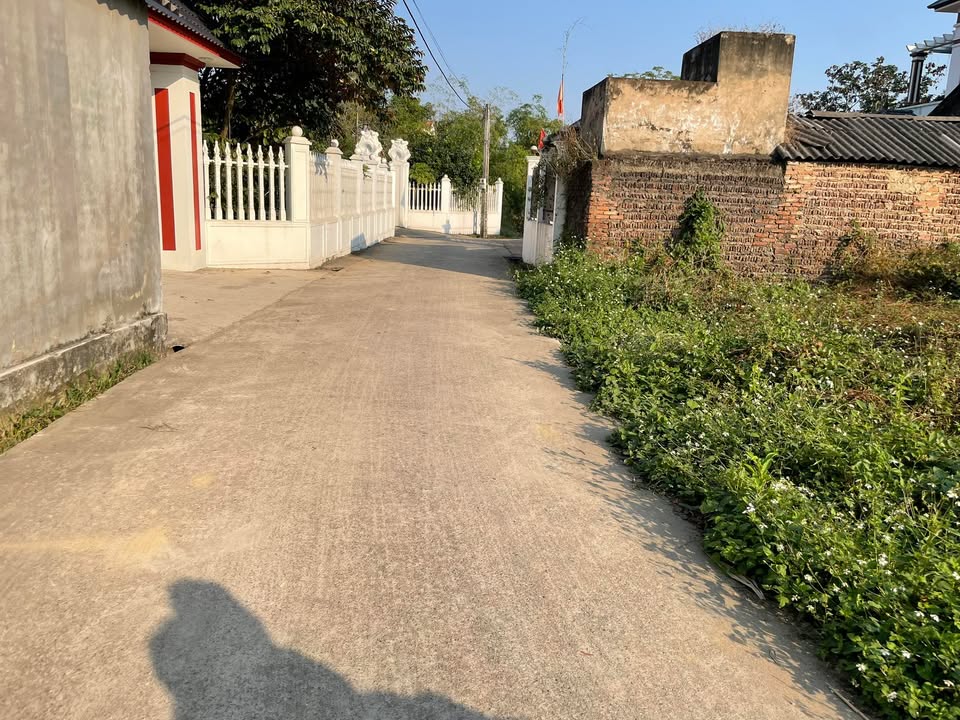 Đất nền Đoan Bái Hiệp Hòa 140m² giá tốt - Cơ hội đầu tư không thể bỏ lỡ!