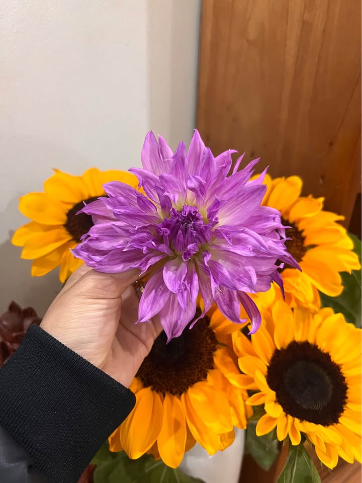 Đất nền Nhuận Trạch, Lương Sơn 152m² giá 1 tỷ - Tiềm năng đầu tư lớn!