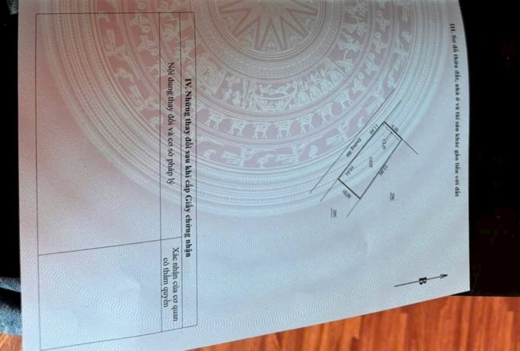 Đất nền Ba Hàng Đồi, Lạc Thủy 205m² giá chỉ 1 tỷ - Cơ hội đầu tư tuyệt vời!