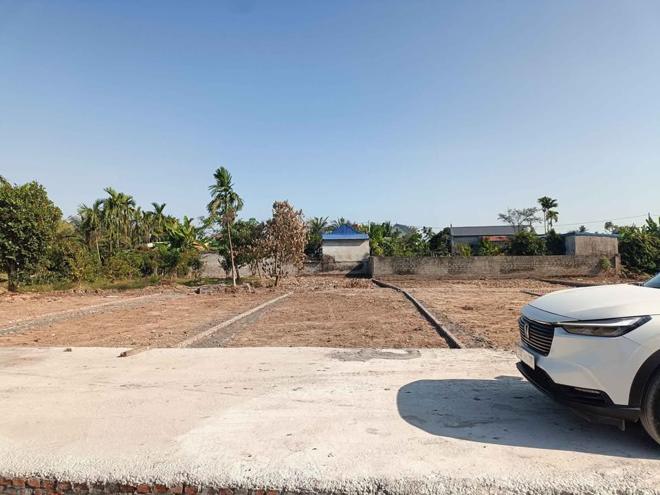 Đất thổ cư Tân Phong, Kiến Thụy 60m² chỉ hơn 1 tỷ - Đầu tư hấp dẫn!