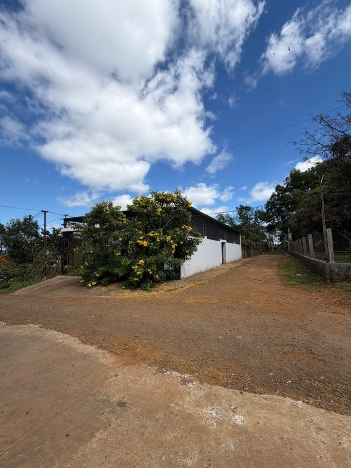 Nhà lô góc 2 mặt tiền Đồi Thông, Pleiku 152m² giá 1.68 tỷ - Đầy đủ nội thất cơ bản!