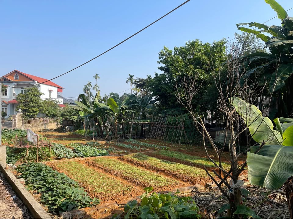 Đất nền phường Giới Phiên, Yên Bái 241m² giá 2,x tỷ - Đầu tư sinh lời cao!