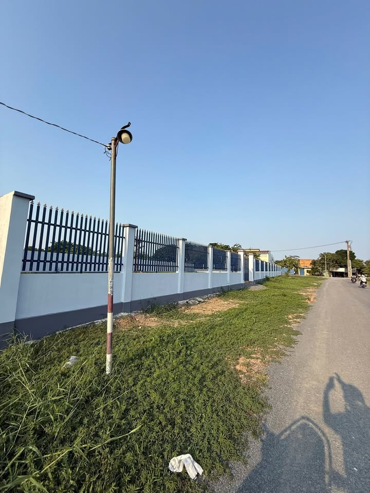 Đất nền Bình Chánh 1540m² giá 14.63 tỷ - Sổ hồng chính chủ, đầu tư sinh lời!