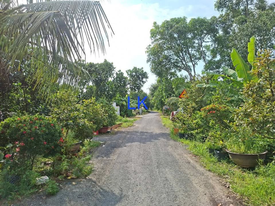 Đất nền 124m² đường Nguyễn Văn Phối, xã Mỹ Tân, giá 680 triệu - Đầu tư sinh lời ngay!