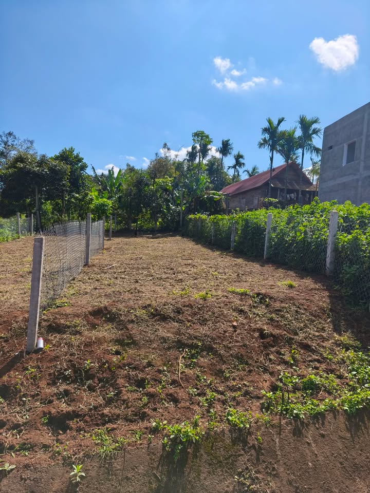 Đất nền Nơ Trang Long Buôn Hồ 100m² - Giá yêu thương, sổ đỏ chính chủ!