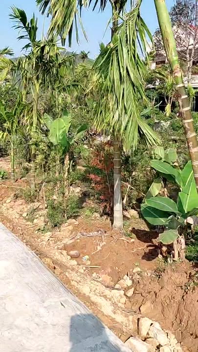 Đất nền tại Mai Hùng, Hoàng Mai 177m² - Cơ hội đầu tư hấp dẫn!