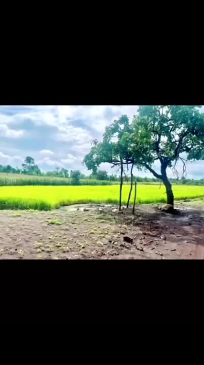 Đất TMDV Ea M'nang Cư M'gar 7200m² giá 800 triệu - Cơ hội đầu tư tuyệt vời!