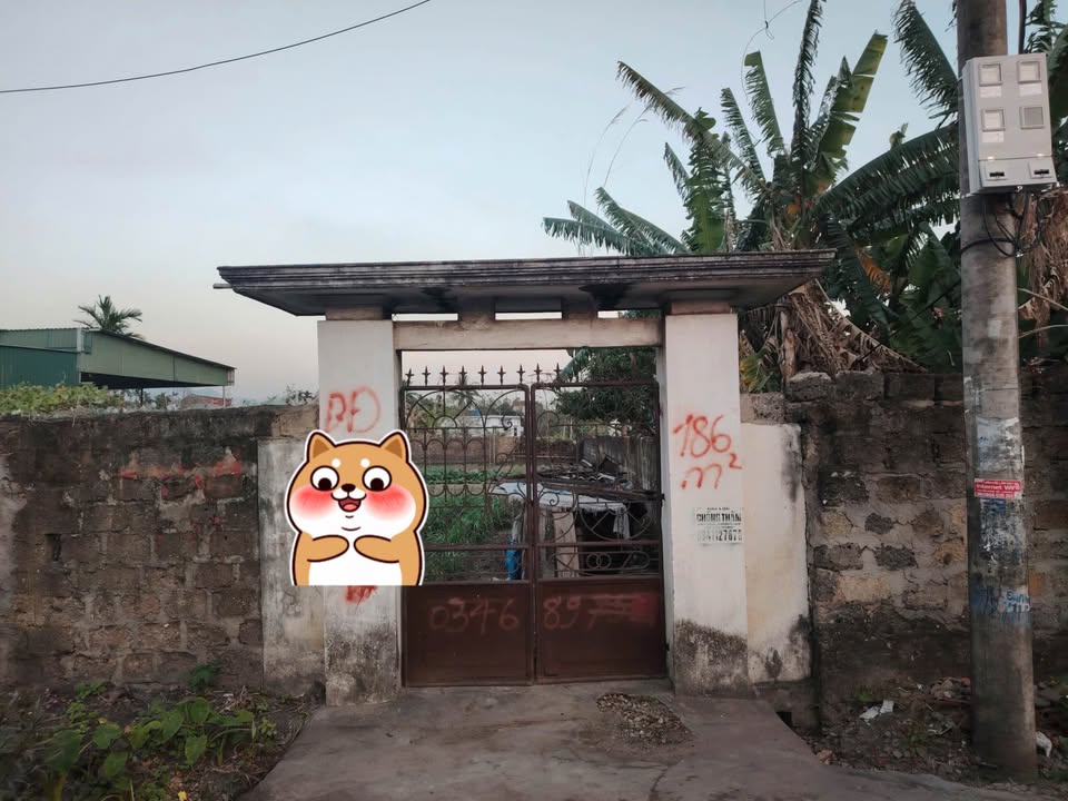 Đất nền Yên Thọ, Đông Triều 186m² giá 700 triệu - Cơ hội đầu tư tuyệt vời!