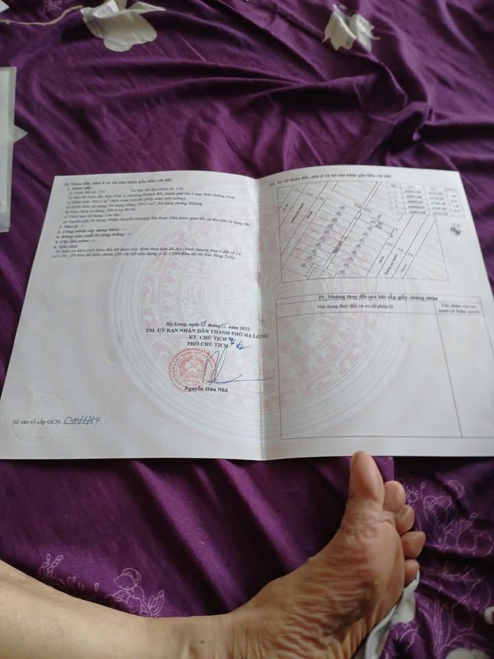 Lô đất dự án Bắc Sông Trới Hạ Long 103,5m² - Đầu tư sinh lời ngay!