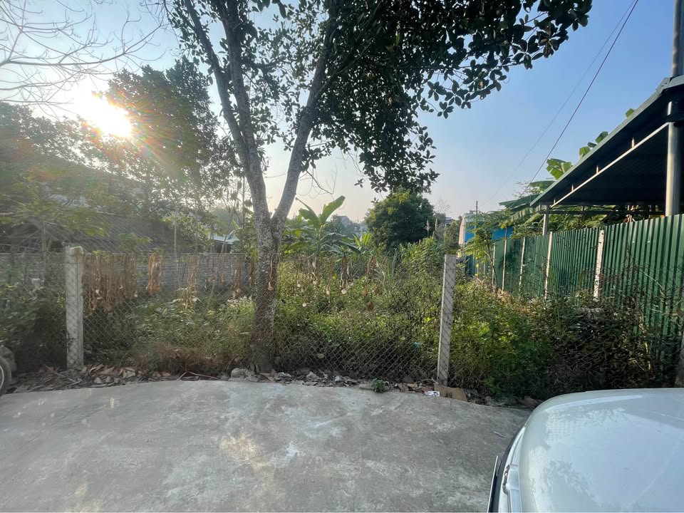 Đất thổ cư Kim Phú, Tuyên Quang 300m² giá 2 tỷ - Đường bê tông rộng rãi!