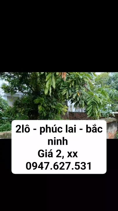 Đất Phúc Lai - Gia Bình 319m² giá 2.65 tỷ - Cơ hội đầu tư tuyệt vời!