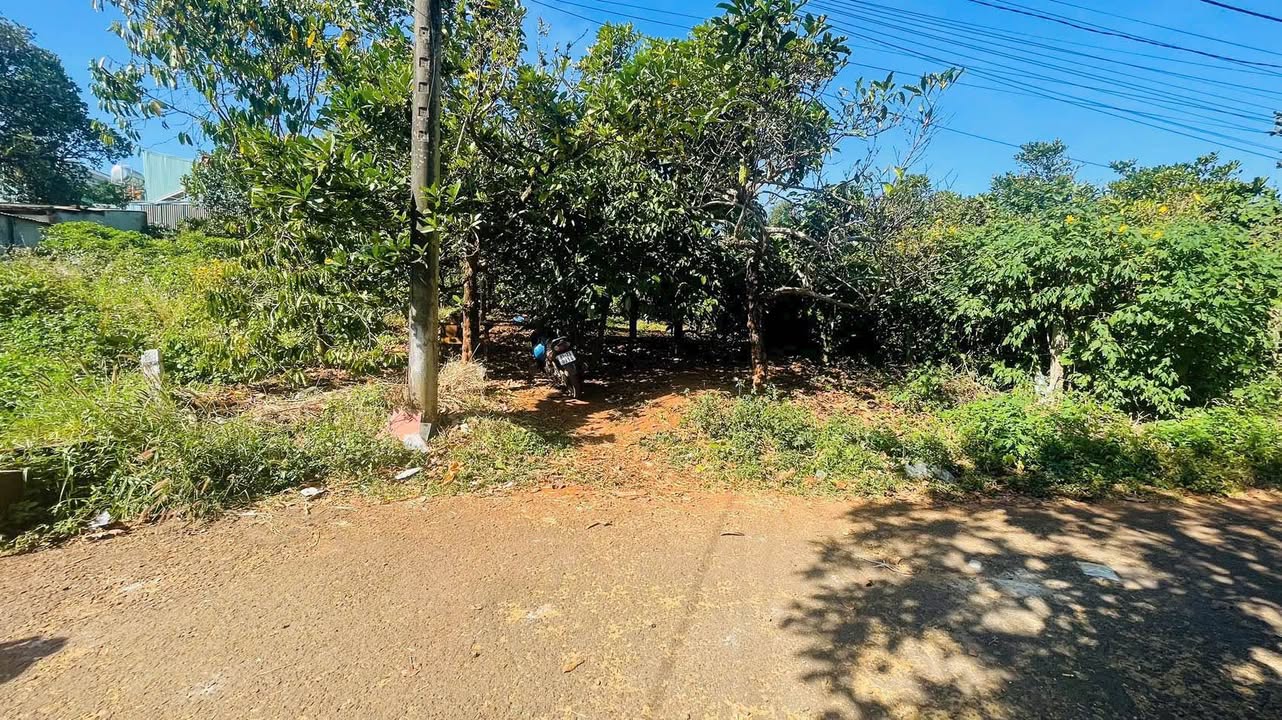 Đất nền Hẻm 07 Lương Đình Của, Hội Phú, 100m² giá 1.9 tỷ - Cách mặt tiền 200m!