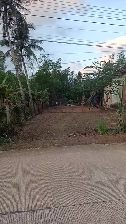 Đất nền Phổ Thuận Đức Phổ 28.7m² giá 600 triệu - Đầu tư sinh lời lý tưởng!