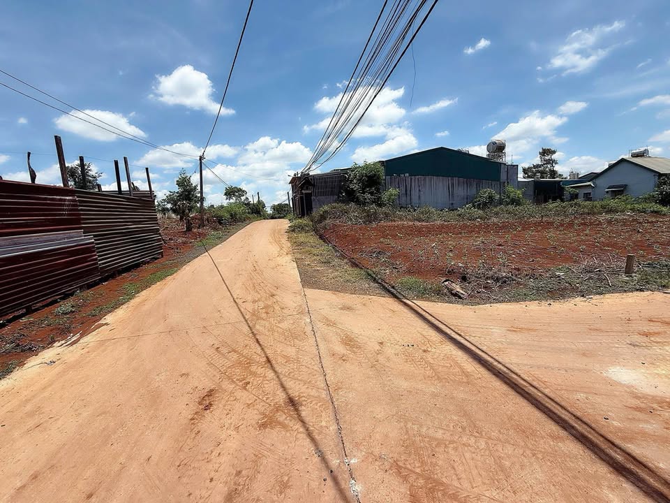 Đất nền Hẻm 81, Đường 19/5, Buôn Ma Thuột 110m² - Giá tốt bớt lộc!