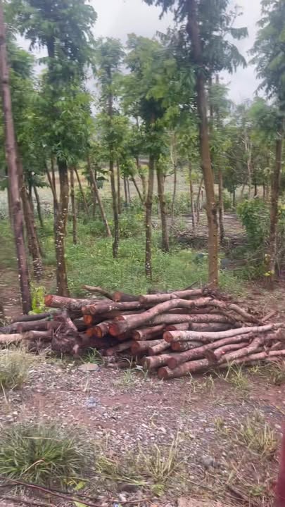 Đất Kỳ Phú Nho Quan 2000m² giá 800 triệu - Cơ hội đầu tư lý tưởng!