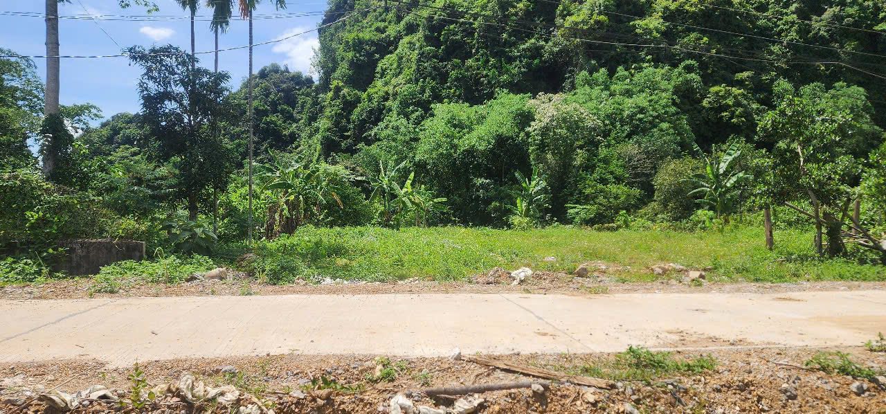 Đất lô góc Lạc Lương 1.824m² giá thỏa thuận - Cơ hội sở hữu hiếm có!