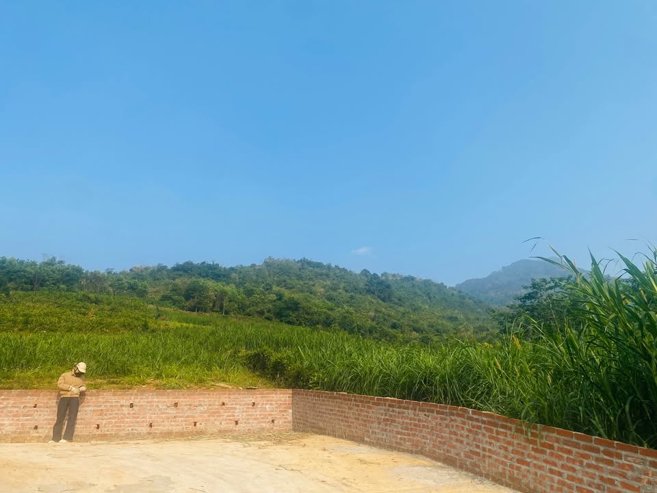 Đất nghỉ dưỡng 2000m² tại Minh Quang, Ba Vì - Cơ hội đầu tư tuyệt vời!