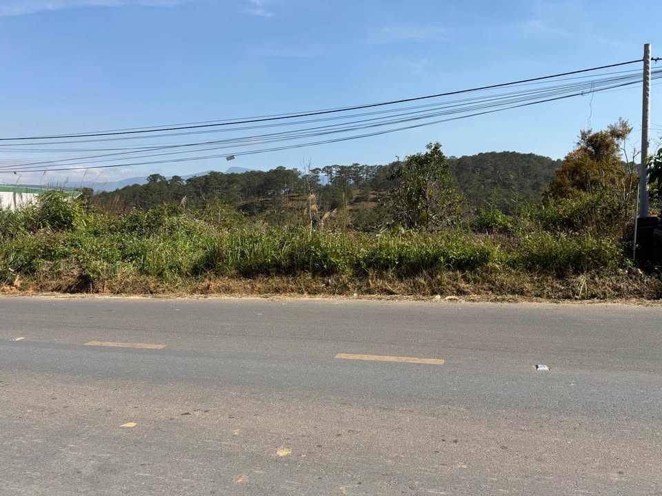 Đất nền mặt đường Quốc lộ 723 Đa Nhim 1300m² - Pháp lý rõ ràng, giá thỏa thuận!