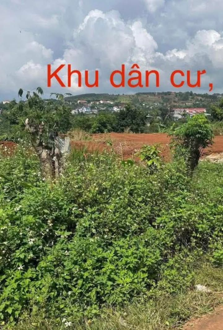 Đất Trường Xuân Đắk Nông 15m² giá 1.1 tỷ - Sổ đỏ chính chủ, gần chợ và trường học!