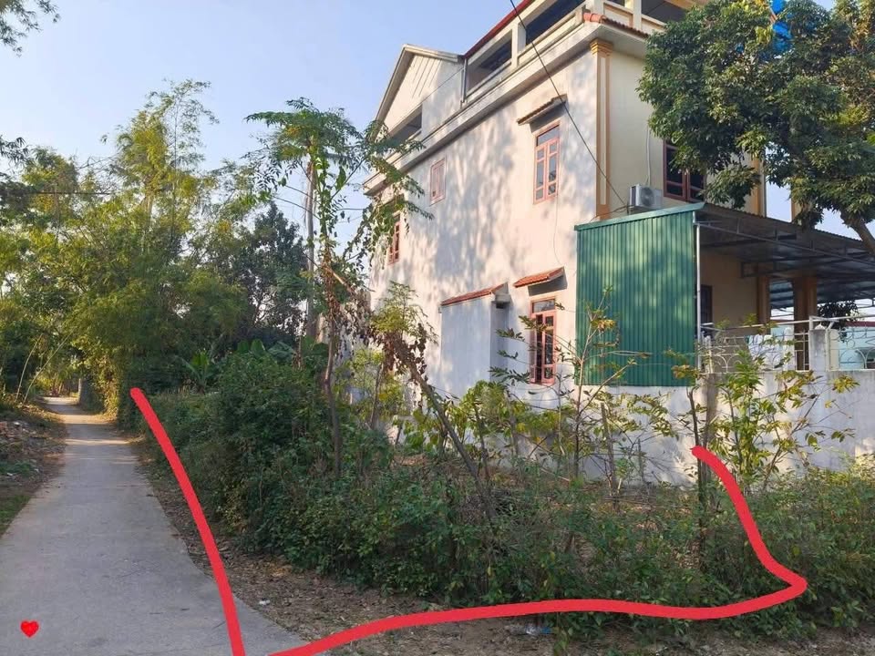 Đất hai mặt tiền thôn Tứ Luyện, xã Hoằng Đạo 152m² giá 1 tỷ - Đầu tư sinh lời tốt!