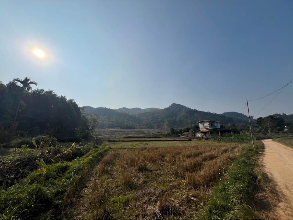 Đất nền phường Mỹ Lâm Tuyên Quang 100m² giá chỉ 500 triệu - Đầu tư sinh lời hấp dẫn!