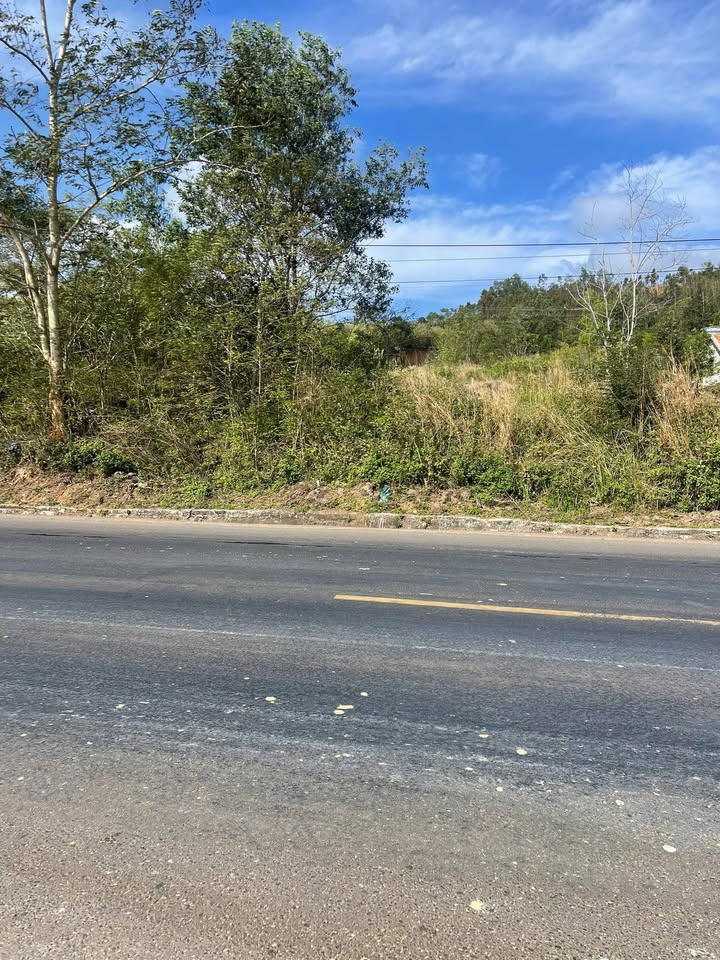 Đất mặt tiền Quốc lộ 14, xã Ea Drăng, 8300m² - Cơ hội đầu tư tuyệt vời!