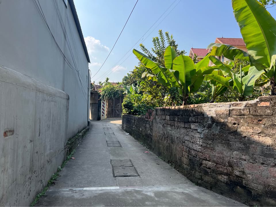 Đất thổ cư Phường Thọ Lộc Phúc Thọ 48m² giá 1 tỷ - Cơ hội đầu tư hấp dẫn!