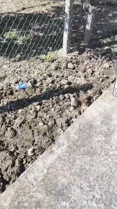 Đất nền Phú An, Cai Lậy 400m² giá chỉ 1 tỷ - Sổ riêng, vị trí tiềm năng!