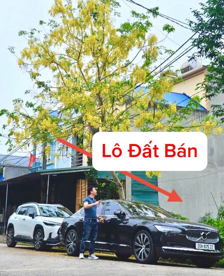 Đất Tái Định Cư Lương Sơn 100m² giá 1 tỷ - Lô góc thuận lợi kinh doanh!