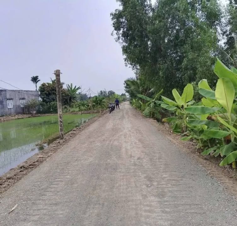 Đất liền kề Mặt Tiền Đa Xanh 1265m² giá 901 triệu - Cơ hội đầu tư sinh lời!