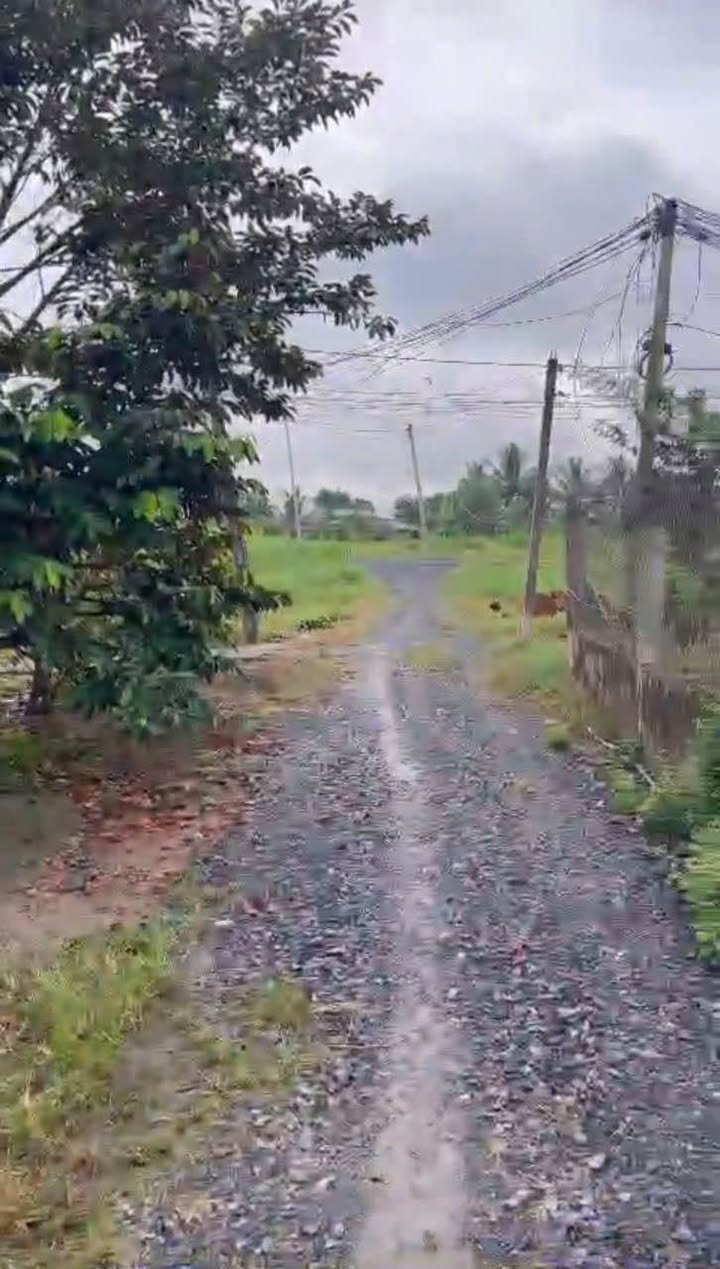 Đất nền phường Khánh Hậu 108m² giá 750 triệu - Sổ hồng chính chủ, xe hơi vào tận nơi!