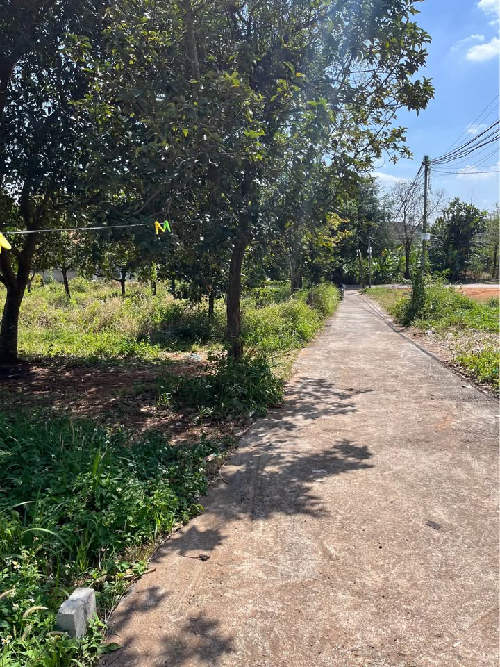 Đất thổ cư Hẻm cấp 1 Phùng Hưng, Ea Tam 90m² giá chỉ 1.57 tỷ - Cơ hội đầu tư tuyệt vời!