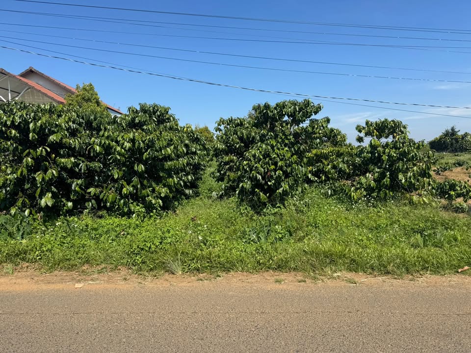 Đất nền thổ cư Bảo Lộc 672m² giá 3.08 tỷ - Mặt tiền đường nhựa, thương lượng tốt!