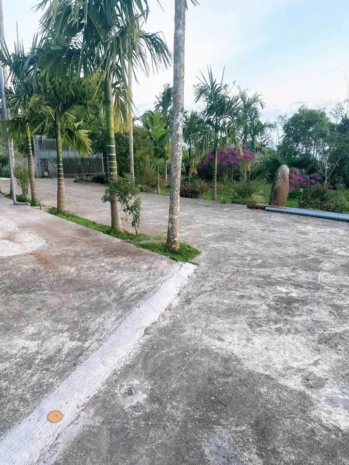 Đất nền 2000m² hẻm 116 Lam Sơn, Bảo Lộc - Giá chỉ 6.5 tỷ, sổ đỏ chính chủ!