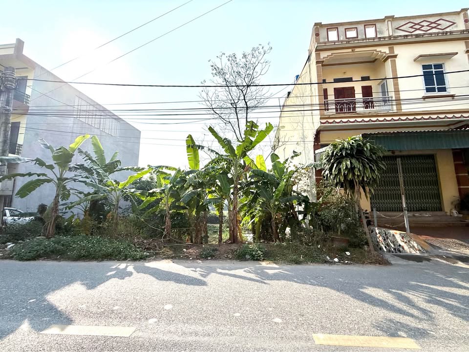 Đất thổ cư Gia Khánh Bình Xuyên 77m² giá chỉ 2 tỷ - Đầu tư tiềm năng cao!