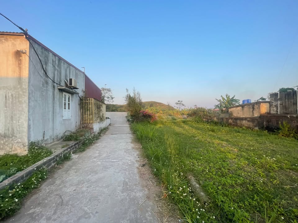 Đất nền Giao Thủy, Nam Định 117m² giá chỉ 8xx triệu - Mặt tiền 10m, chính chủ!