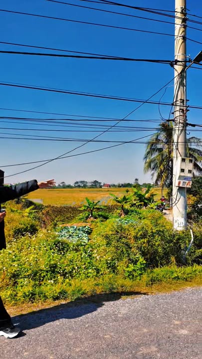 Đất nền Xuân Giang 309m² giá 1.1 tỷ - Cơ hội đầu tư tuyệt vời!