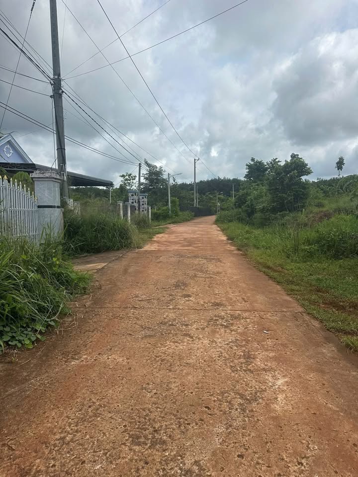 Đất nền Lộc Ninh 980m² giá chỉ 185 triệu - Cơ hội đầu tư tuyệt vời!