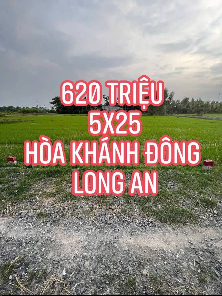 Đất Hòa Khánh Đông, Đức Hòa 125m² giá 620 triệu - Đường ô tô rộng rãi!