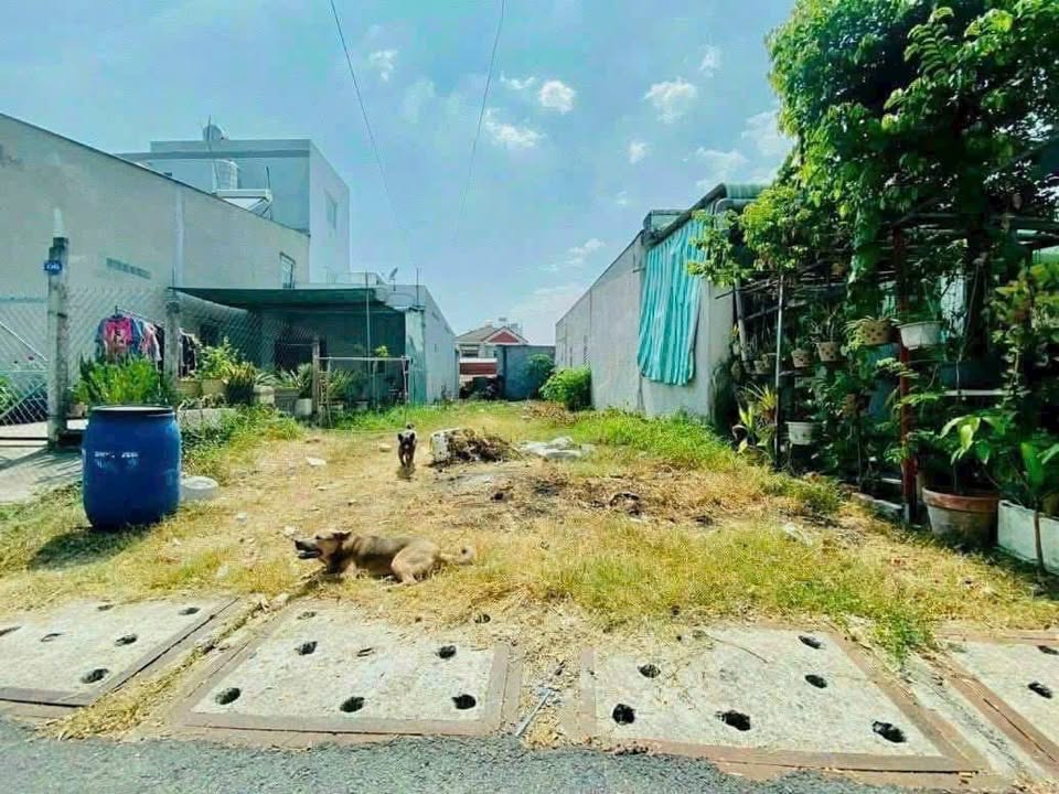 Đất Thị Trấn Củ Chi Mặt Đường Vũ Duy Chí 139m² giá 3.7 tỷ - Đầu tư sinh lời ngay!