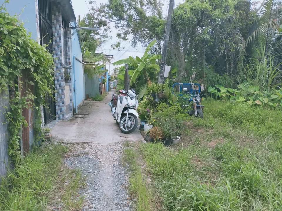 Đất nền Vĩnh Long 100m² giá 850 triệu - Đầu tư sinh lời ngay!