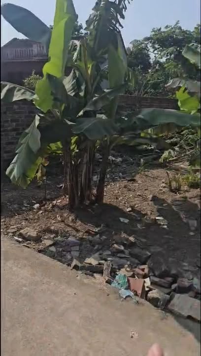 Đất nền Hoằng Ngọc 100m² giá chỉ 6xx triệu - Cơ hội đầu tư vàng!