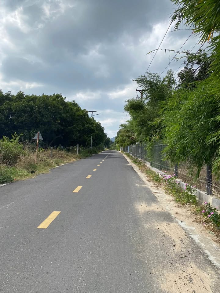 Đất nền Cam Thành Nam 172,9m² giá 1 tỷ - Đầu tư tiềm năng tại Cam Ranh!