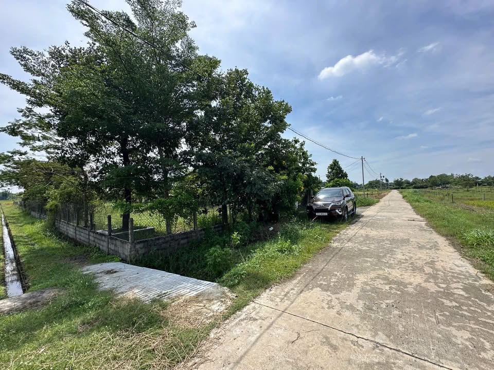 Đất vườn góc 2 mặt tiền xã Phước Thạnh Củ Chi 1511.8m² giá 2.7 tỷ - Cơ hội đầu tư tuyệt vời!