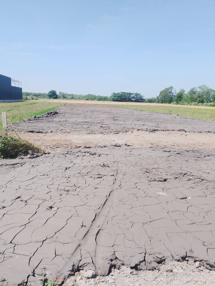 Đất nền mặt tiền tuyến tránh QL1A, phường Sóc Trăng, 729m² - Tiềm năng đầu tư lớn!