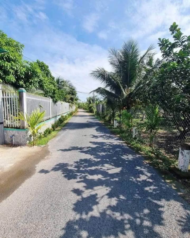 Biệt thự mini mặt tiền đường ĐX05, Tam Phước 330m² giá 1.5 tỷ - Sổ hồng chính chủ, bớt lộc!