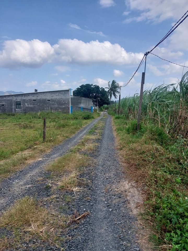 Đất thổ cư Cam Tân 155m² giá 4.898 tỷ - Đầu tư sinh lời hấp dẫn!